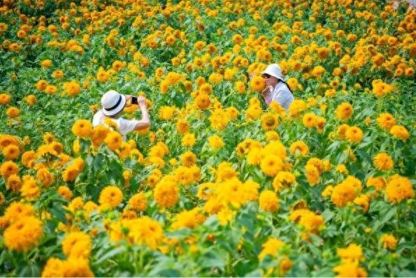 广州天气大反转！明后飘雨未来10天雨水更活跃？