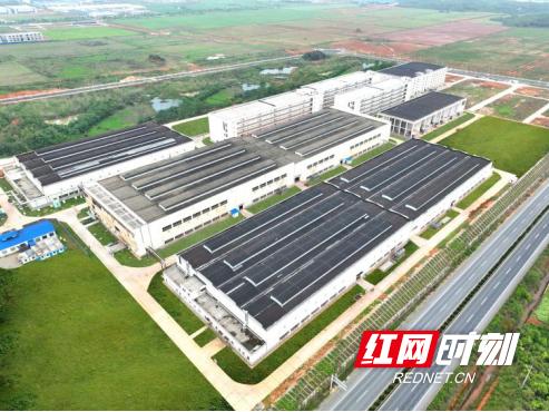 武陵酒营收首破10亿大关！白酒行业六大关键词透露啥玄机？  第4张