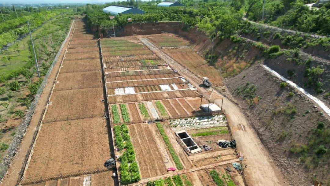 城郊田园耕作图景超鲜活！共享菜园亲子春耕体验你参加了吗？  第2张