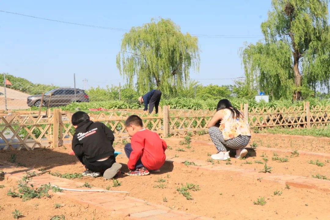 城郊田园耕作图景超鲜活！共享菜园亲子春耕体验你参加了吗？  第8张
