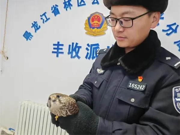 星辰月下，警营里的故事为何如此动人？揭秘那些藏于藏蓝色光芒中的感动  第2张