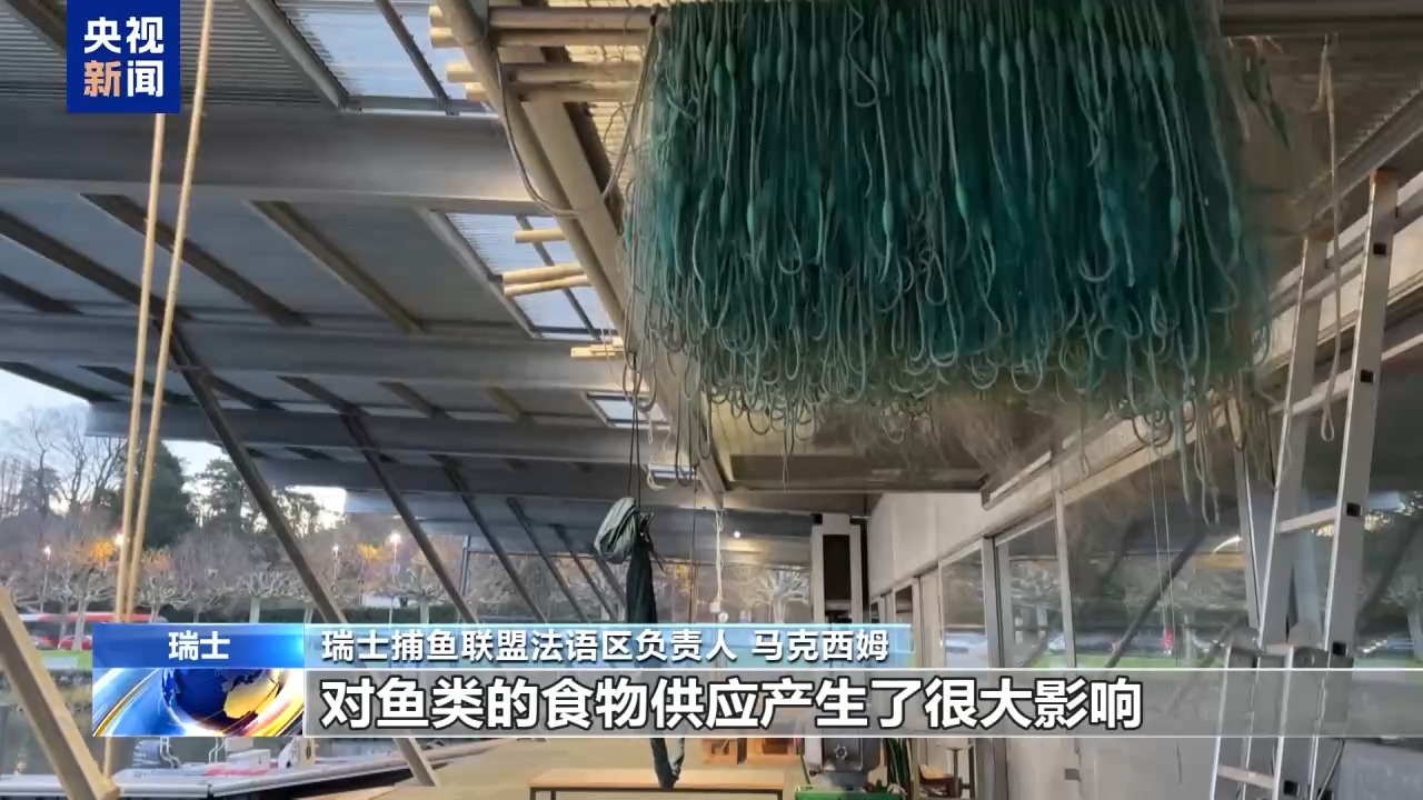 瑞士90%的鱼竟来自进口？揭秘本地渔民为何越来越少  第6张