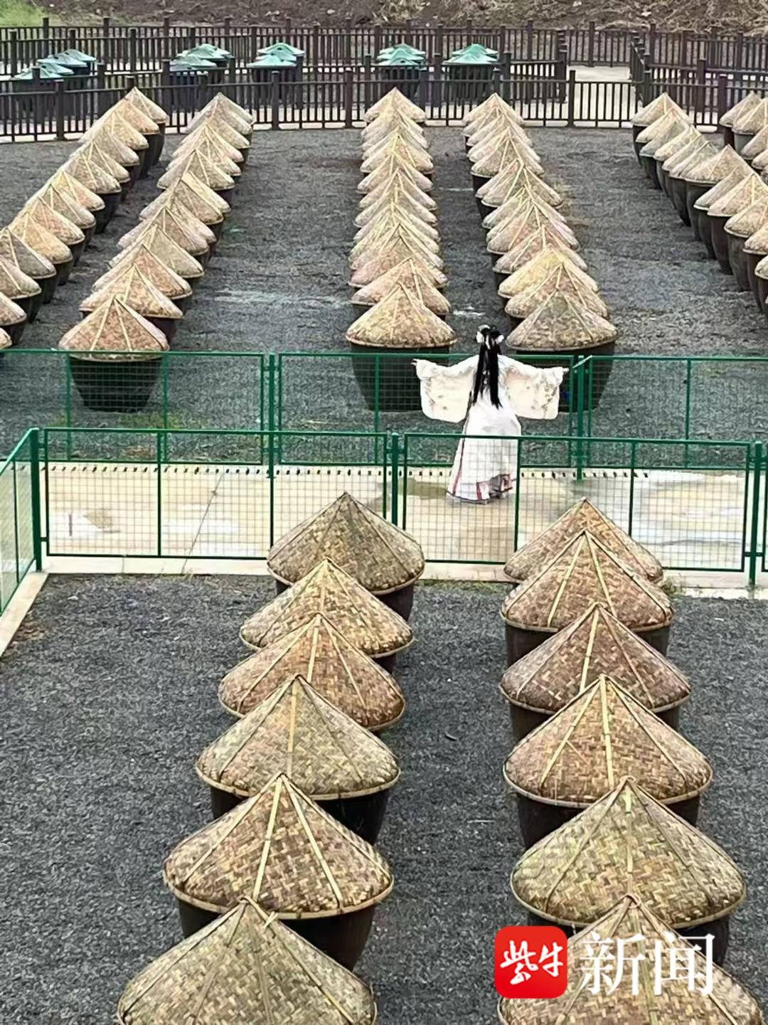 2025年春节不打酱油怎么行？恒顺酱醋文化节带你重温家的味道  第4张