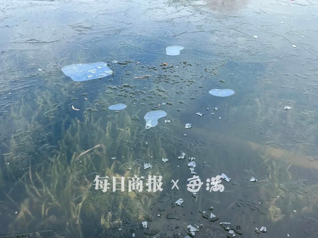 杭州即将开启冰冻模式！未来三天最低气温跌破0℃，你准备好了吗？  第7张
