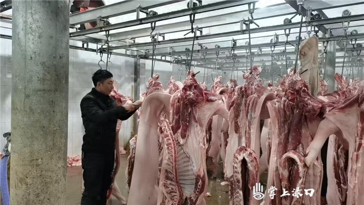 春节前突击检查！渌口区如何确保你的肉类安全？