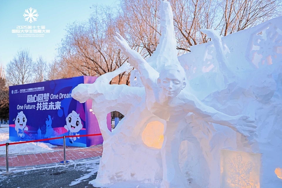 国际大学生雪雕大赛创纪录！21支国际队伍齐聚哈尔滨，谁将问鼎雪雕之巅？  第8张