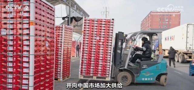 春节将至，龙灯订单暴涨3500条！700年传统工艺如何征服全球市场？  第7张