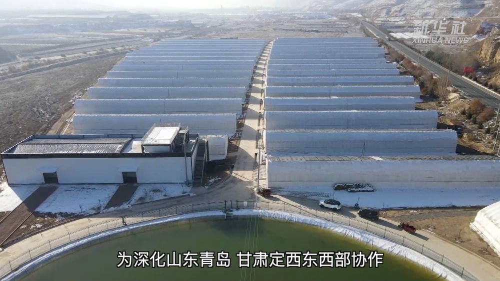 黄土高原上的奇迹！36座智能温室如何让荒凉变绿洲？  第3张