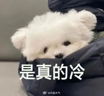 大年初八开工大吉！回暖后又有冷空气？最冷时段要来