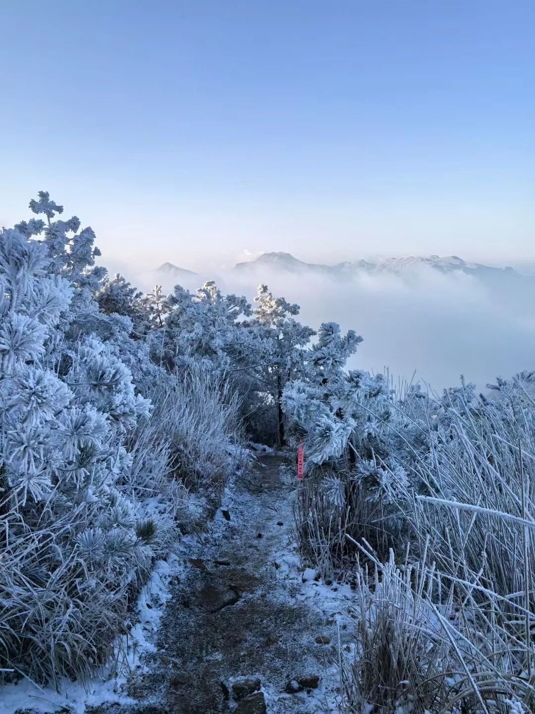 大年初八开工大吉！回暖后又有冷空气？最冷时段要来  第4张
