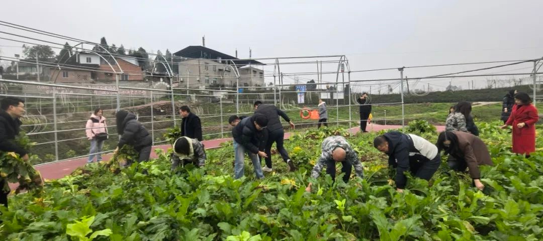 节后上班第一天！你切换至工作模式了吗？铜梁市民中心已忙碌  第4张