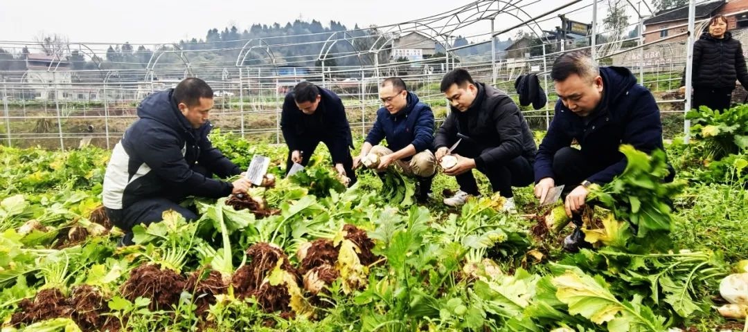 节后上班第一天！你切换至工作模式了吗？铜梁市民中心已忙碌  第5张