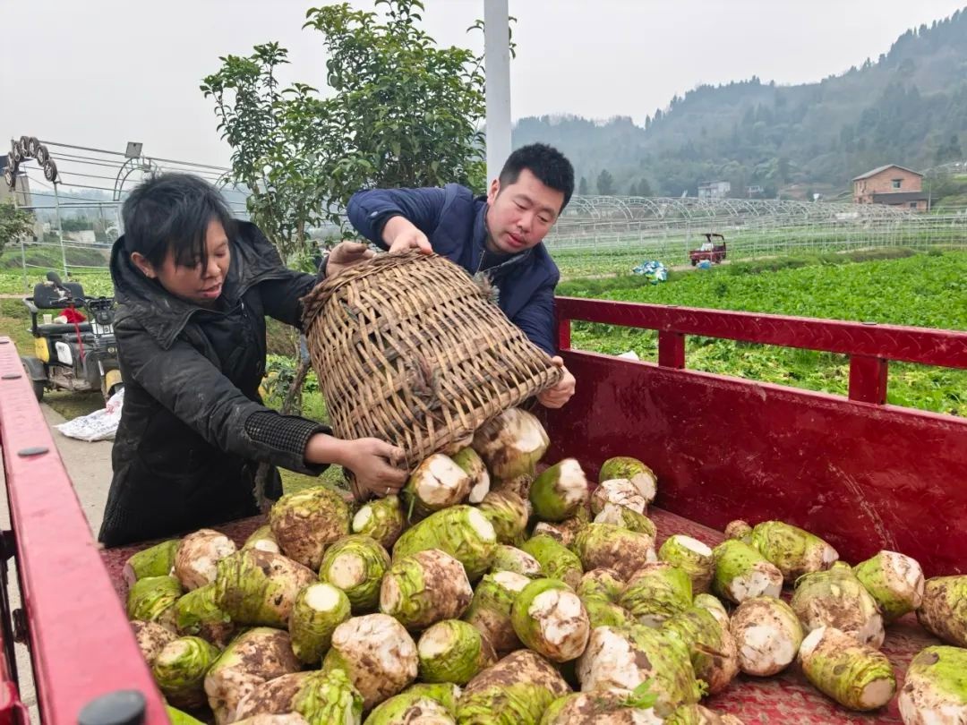 节后上班第一天！你切换至工作模式了吗？铜梁市民中心已忙碌  第6张