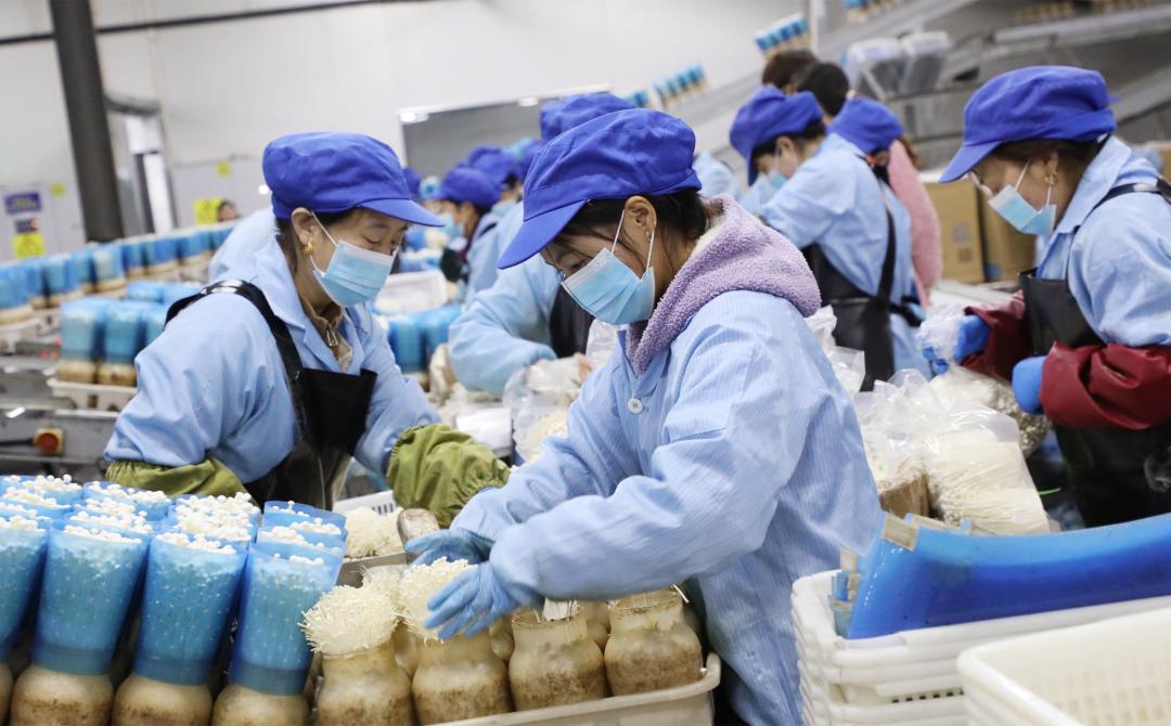 节后复工第一天，全县企业如何冲刺开门红？看看他们怎么做  第10张