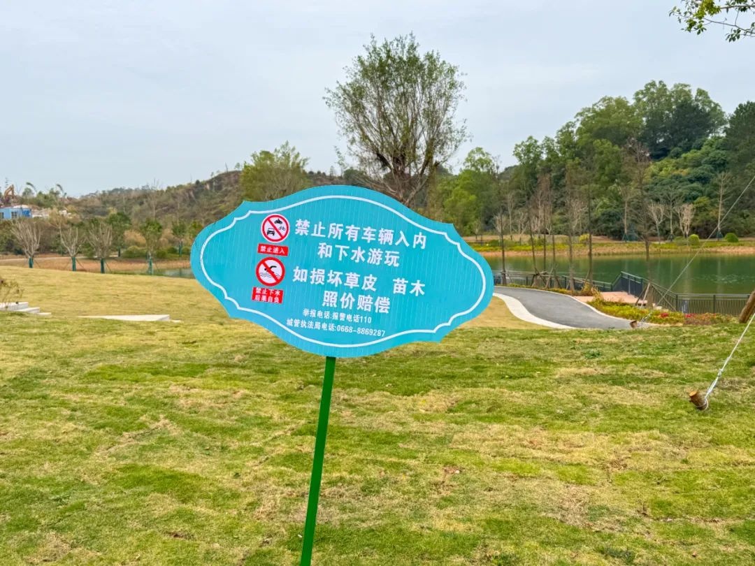 新春公园美景遭破坏！玉都新区山水公园的万寿菊花海还能重现往日光彩吗？  第10张