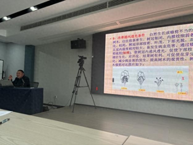 普陀区综执局开展树木修剪防治培训！董跃平老师授课能带来多大提升？