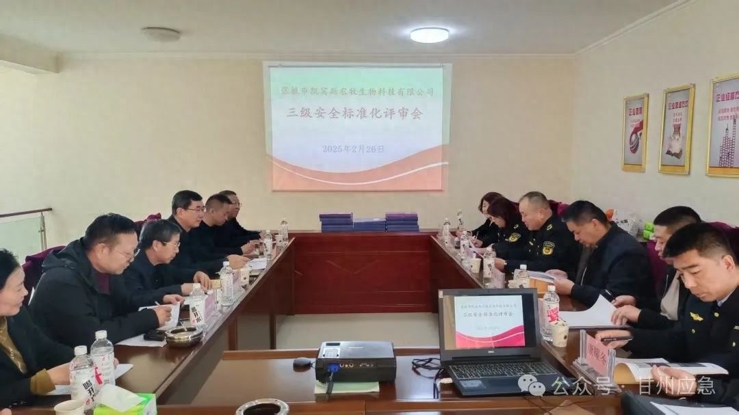 张掖市凯宾斯农牧生物科技有限公司如何通过三级安全生产标准化评审？