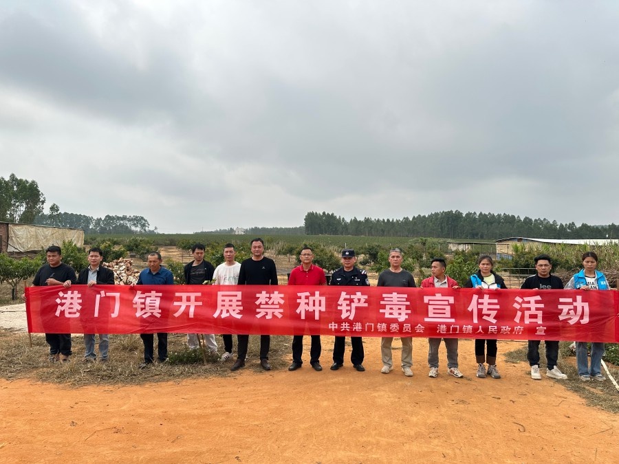 春暖花开，罂粟生长：港门镇如何严防死守，确保无毒品原植物？  第6张