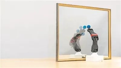 机器人照镜子也能自我进化？揭秘哥伦比亚大学的神奇发现