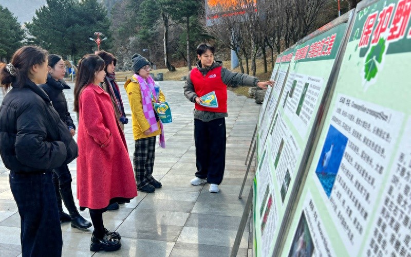 达古冰川管理局投入130万，2025年世界野生动植物日宣传活动震撼来袭！你准备好了吗？