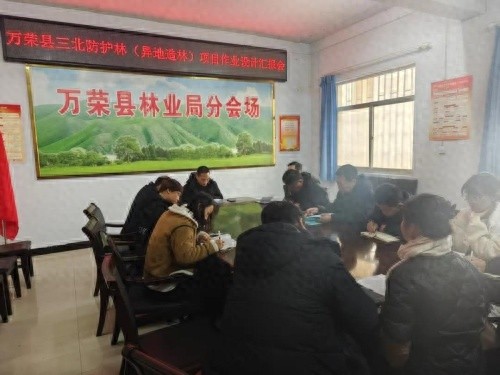 万荣县林业局如何高效推进三北问题整改？2025年工作计划曝光