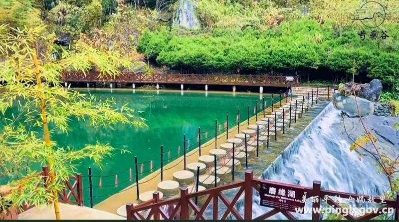 平利县三八妇女节健身操大赛震撼来袭！你准备好舞动风采了吗？  第2张