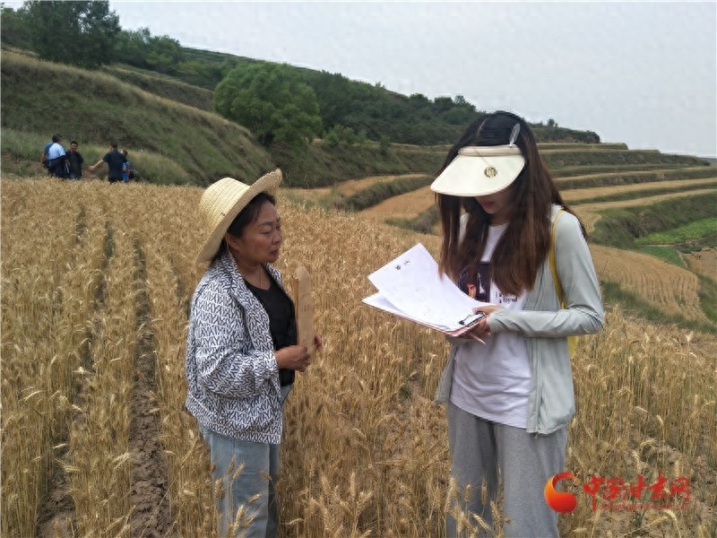 她们如何用坚韧与勇气书写辉煌？走进全国三八红旗手的世界