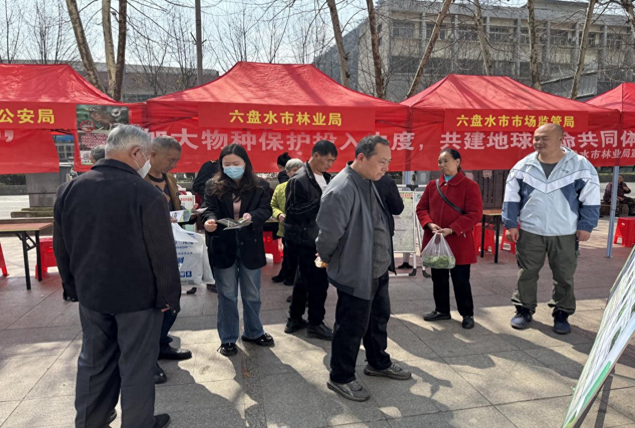 六盘水市如何成为野生动植物保护的典范？揭秘他们的成功秘诀  第1张