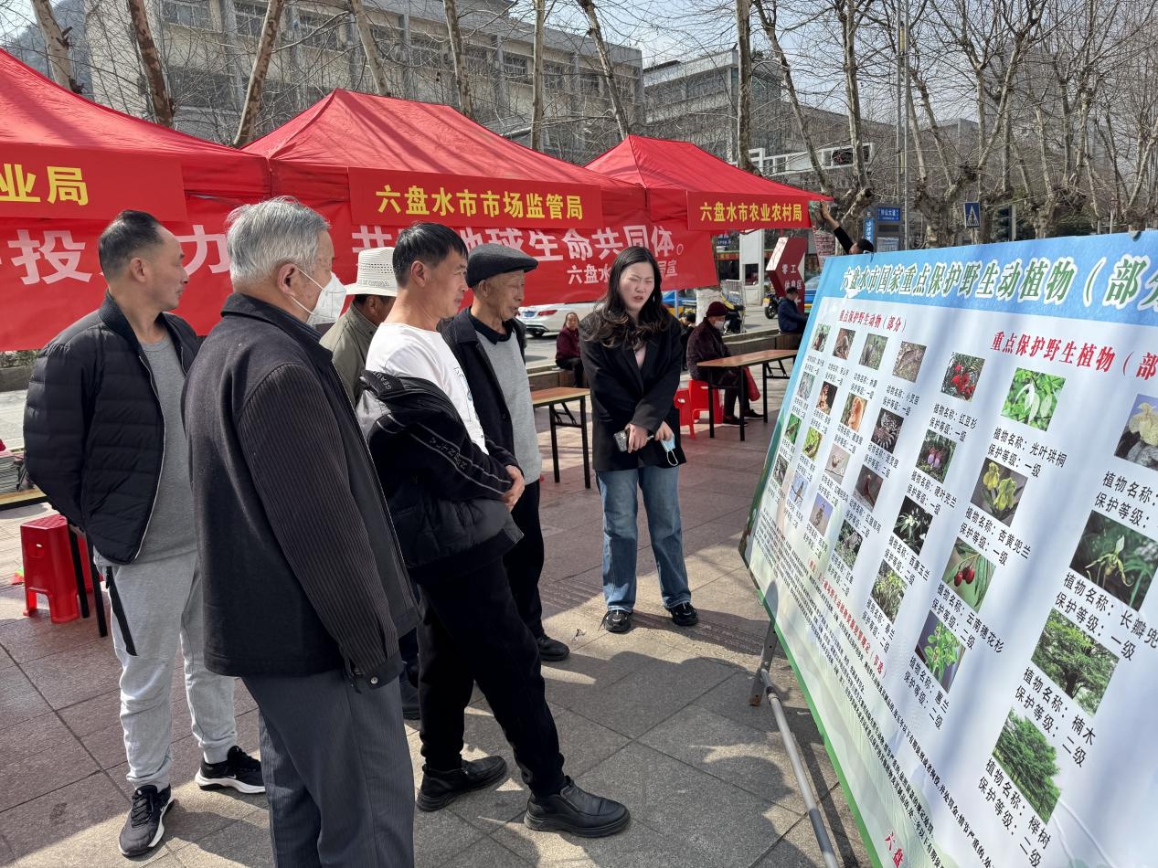 六盘水市如何成为野生动植物保护的典范？揭秘他们的成功秘诀  第2张