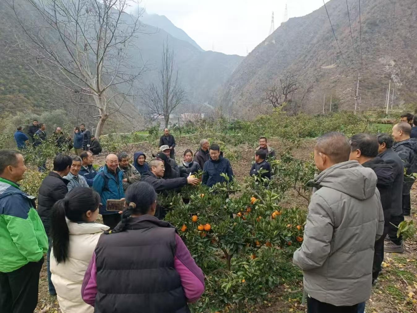 甘肃玉垒乡：春天最早到来的地方，你准备好迎接这片油菜花海了吗？  第4张