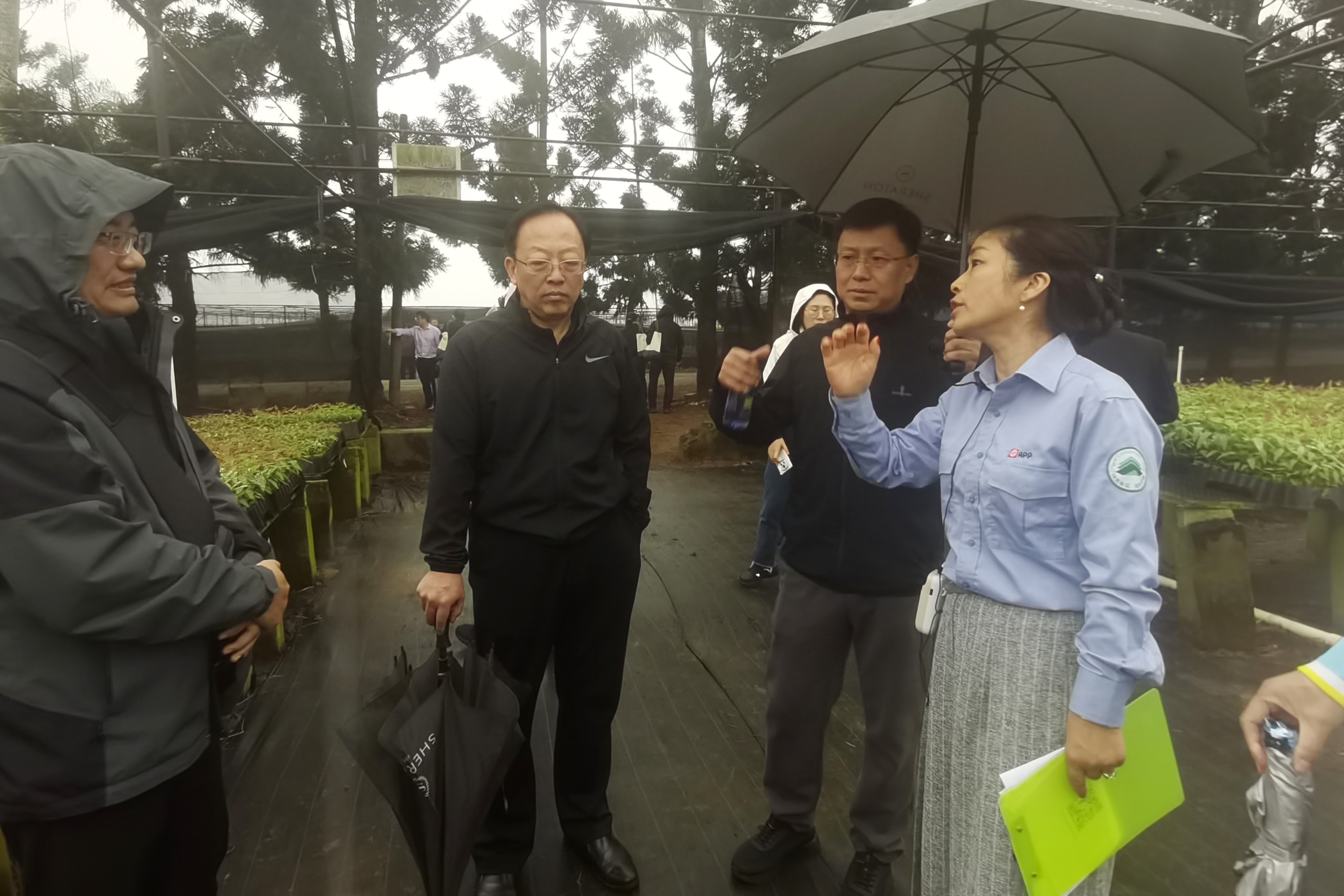 中条林局如何引领森林认证新潮流？揭秘其创新举措与行业典范  第3张