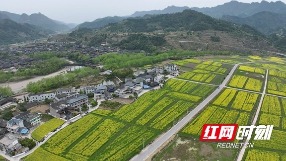 清明小长假去哪玩？中国土家第一寨惹巴拉邀你品尝地道社饭  第2张