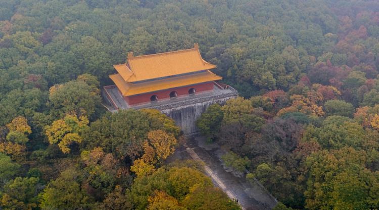 南京明孝陵石兽遭涂鸦！600多年古迹怎能任人破坏？  第3张