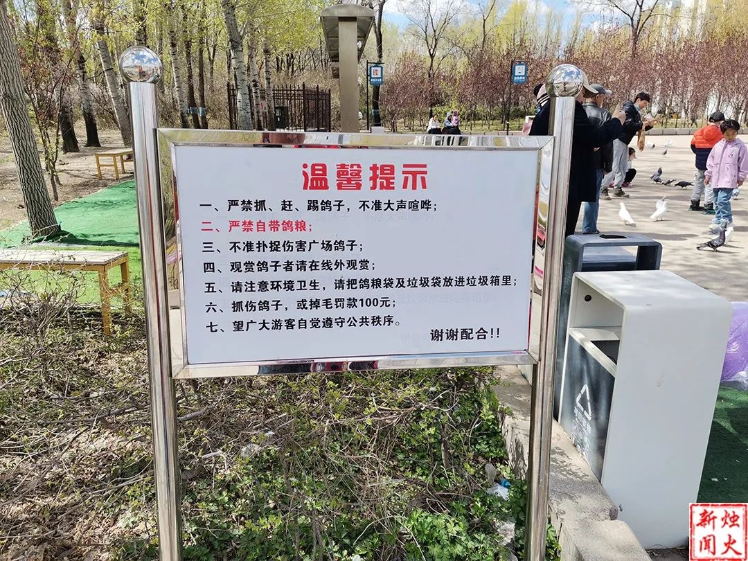 时代广场鸽粮乱象！10元钱只能买3小袋，五一前后大变样？  第2张