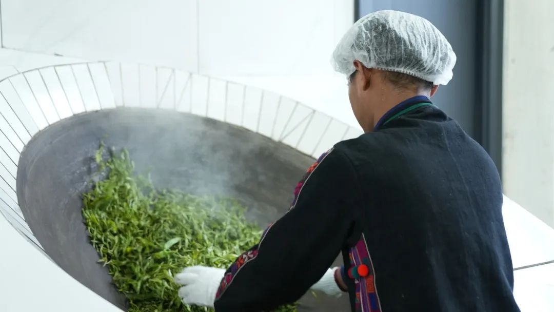 95 后哈尼族小伙凭制茶技艺获一等奖？他的背后故事超励志  第2张