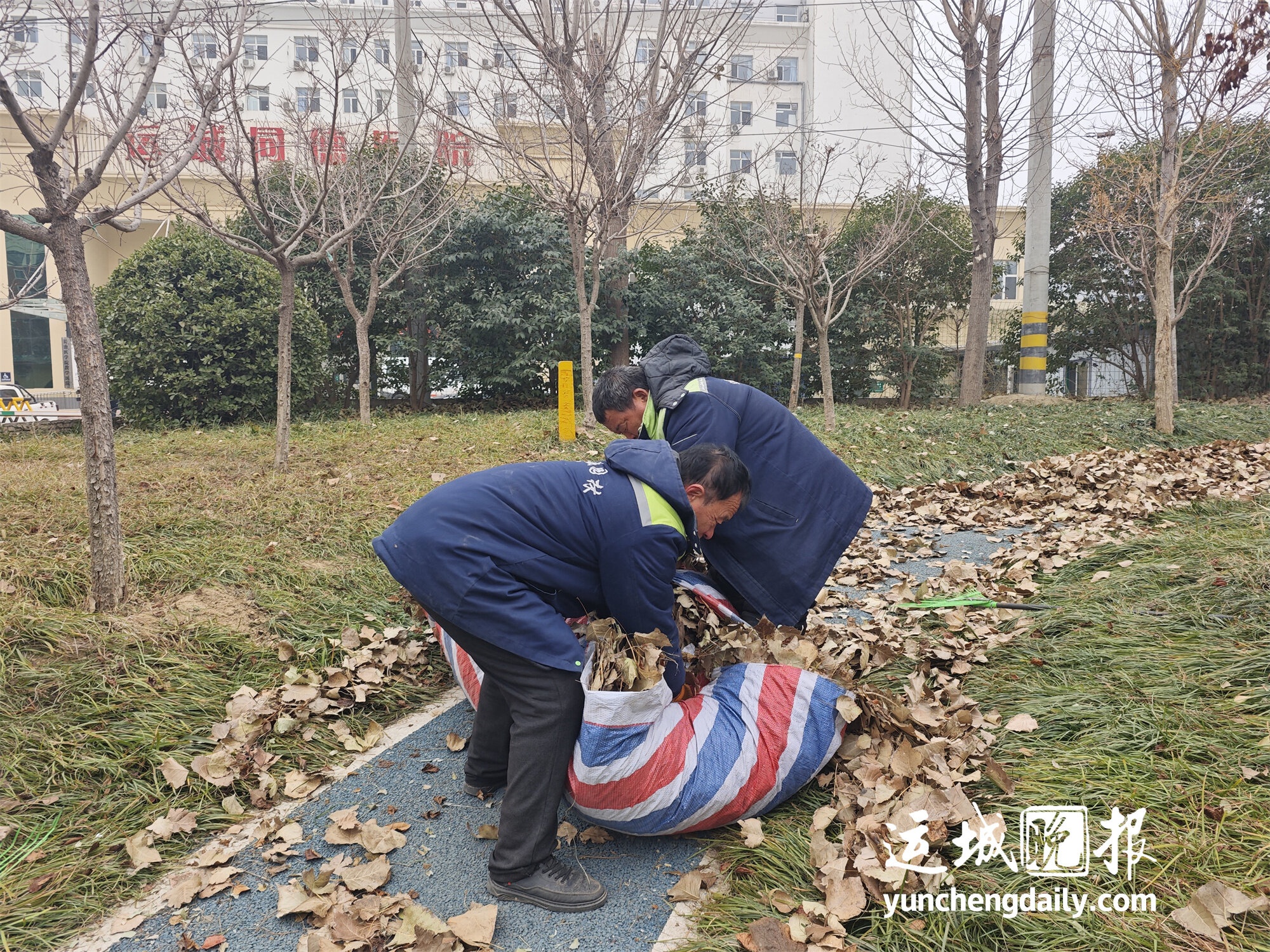 寒冬来袭，园林工人如何精心呵护花木过冬？揭秘中心城区的冬季养护秘籍  第2张