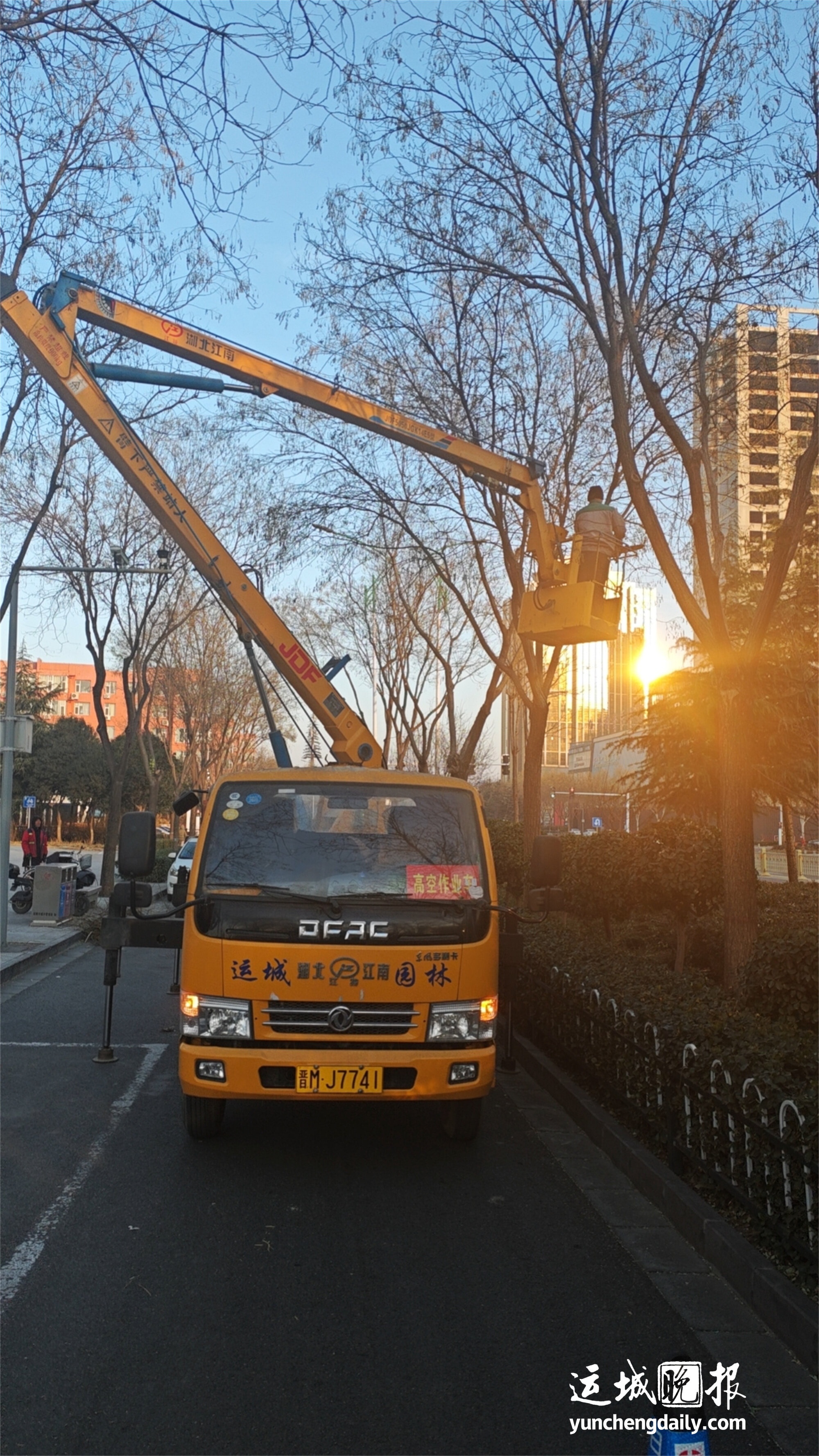 寒冬来袭，园林工人如何精心呵护花木过冬？揭秘中心城区的冬季养护秘籍  第3张