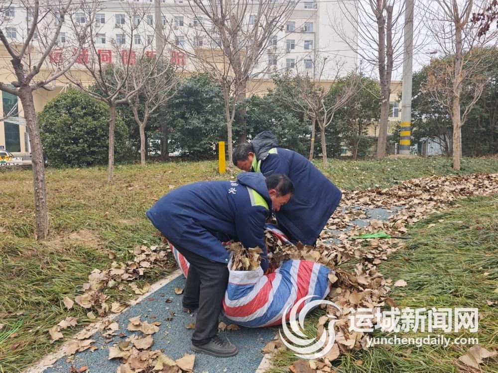 寒冬来袭，树木如何安全越冬？园林工人的秘密武器大揭秘  第2张