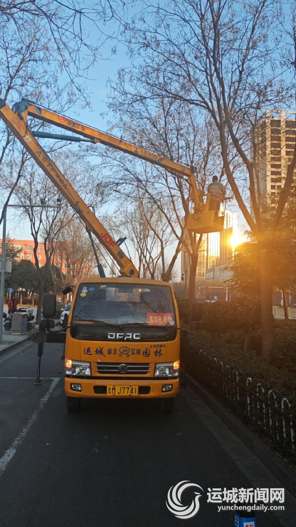 寒冬来袭，树木如何安全越冬？园林工人的秘密武器大揭秘  第3张