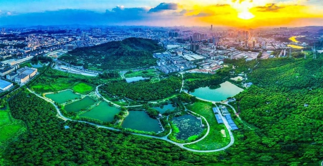 长安碧道新景观！半城都市半城绿，你准备好探索这片养眼风景线了吗？  第1张