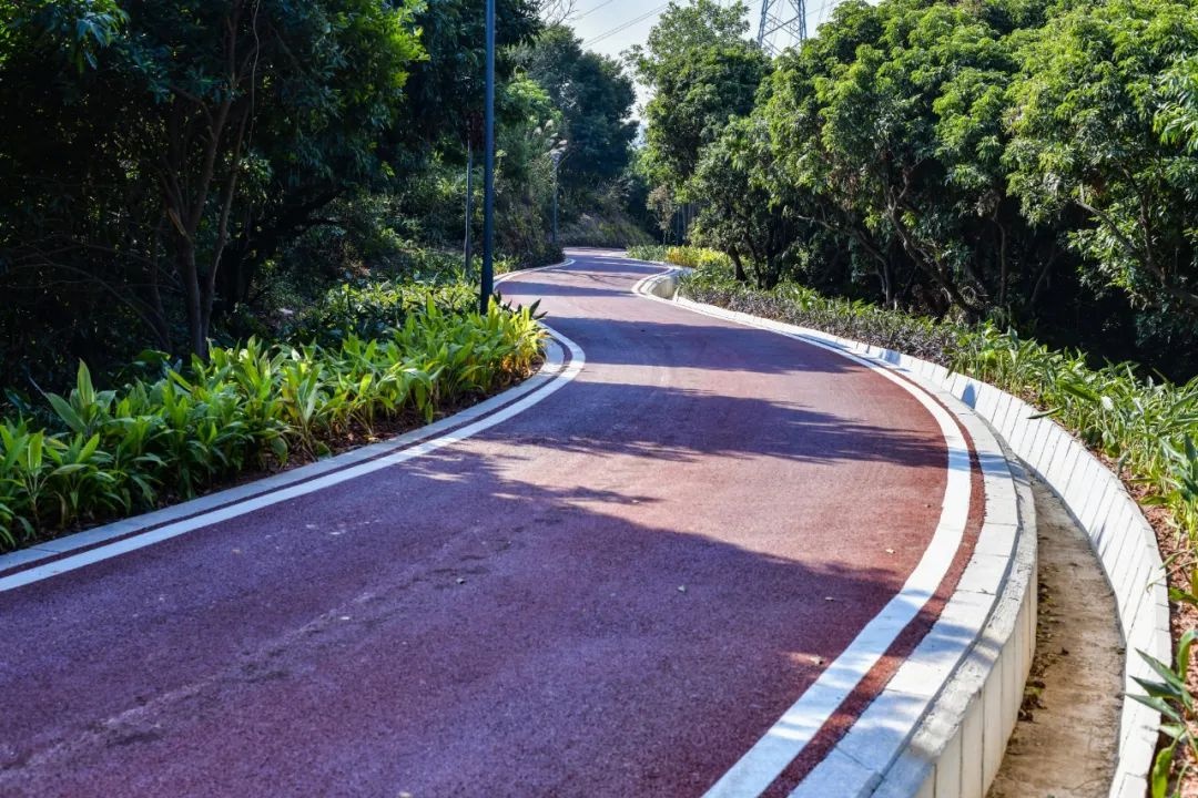 长安碧道新景观！半城都市半城绿，你准备好探索这片养眼风景线了吗？  第2张