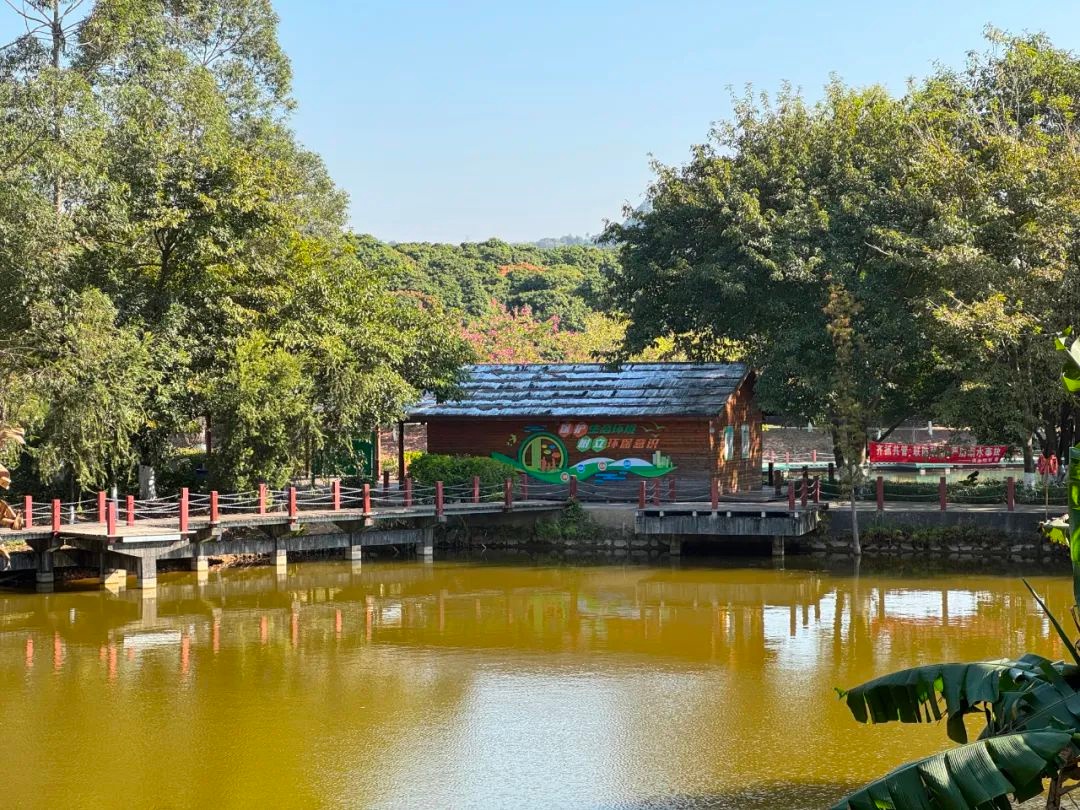 长安碧道新景观！半城都市半城绿，你准备好探索这片养眼风景线了吗？  第3张