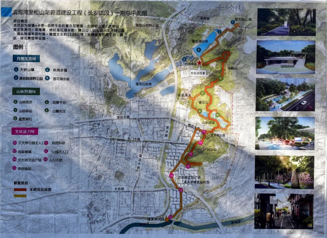 长安碧道新景观！半城都市半城绿，你准备好探索这片养眼风景线了吗？  第5张