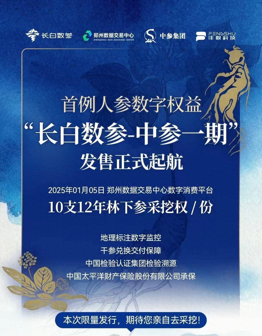 数字人参横空出世！长白数参·中参一期如何颠覆传统人参产业？