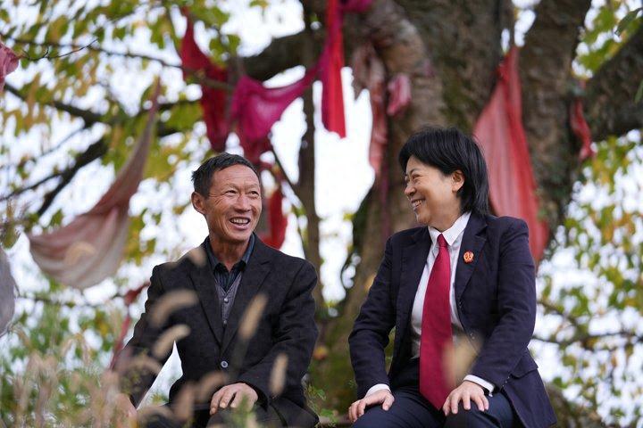 2024年，湖北政法干警如何守护千家万户的平安幸福？走近他们的不平凡故事  第1张
