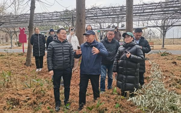 上海森林质量提升大动作！专家团队亲临指导，未来森林将如何焕然一新？  第2张
