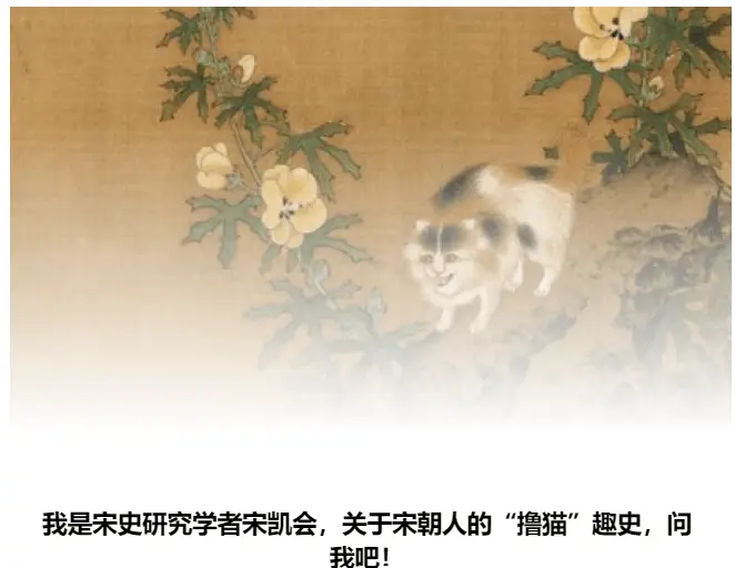 宋代顶级猫奴陆游：他的诗画中藏着多少猫咪的秘密？