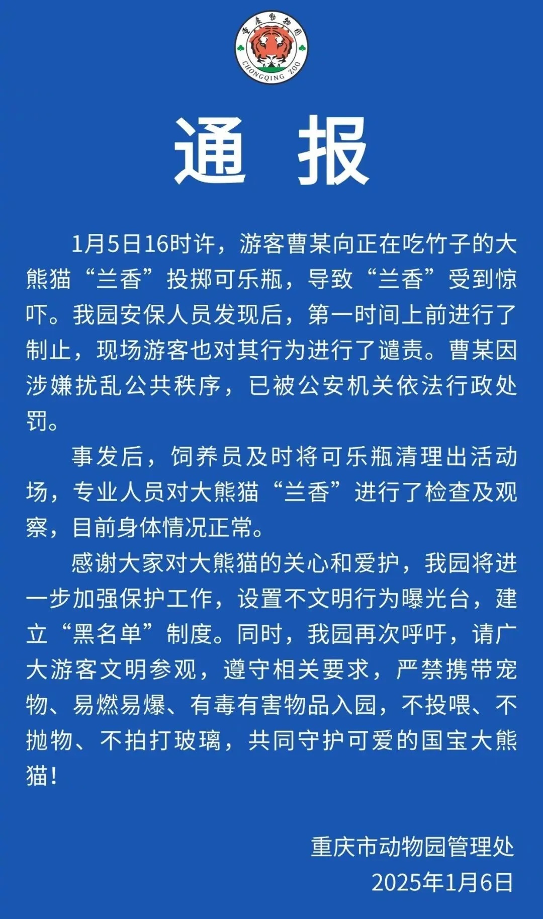 游客竟用可乐瓶袭击大熊猫兰香，终身禁入园！你见过这样的嚣张行为吗？  第4张