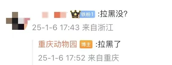 游客竟用可乐瓶袭击大熊猫兰香，终身禁入园！你见过这样的嚣张行为吗？  第5张