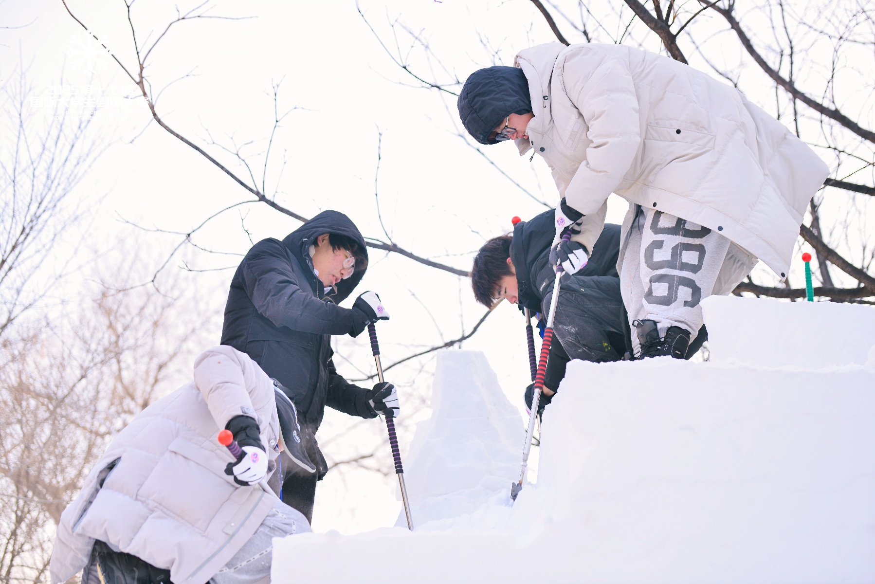 2025国际大学生雪雕大赛：21支国际队伍齐聚哈尔滨，谁将问鼎雪雕之巅？  第2张